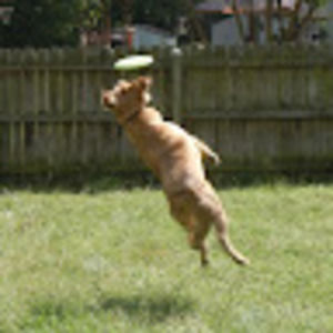 Meet your Posher, Evan